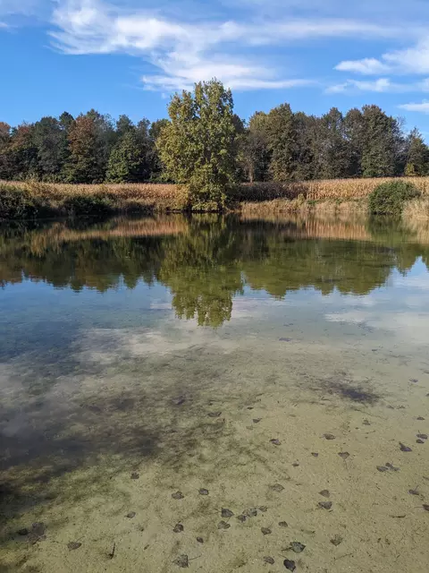 7168 Willis Rd, Burnside, MI 48416