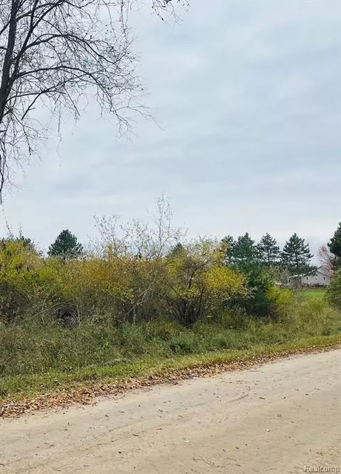 100 Avenue, Martiny, MI 49332