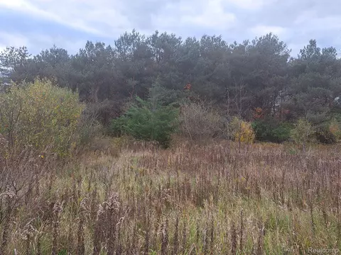 5600 Fisher Rd, Howell, MI 48855