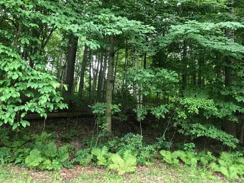 00 Brocker Rd, Metamora, MI 48455