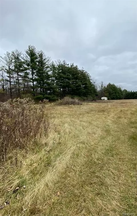 V/l Forks Road, Caro, MI 48723
