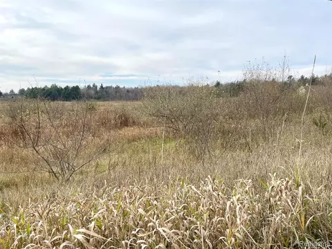 Parcel 3 Maes Road, West Branch, MI 48661