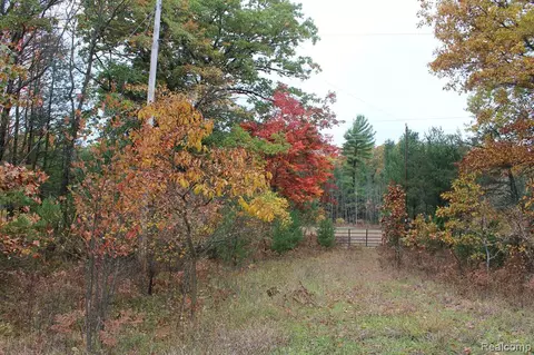 Vacant Land Pine Creek Road, Manistee, MI 49660