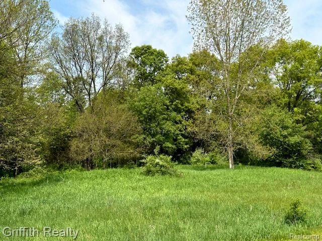 8408 Walkabout Way, Pinckney, MI 48169