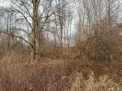 12 Acres Bridges, Hadley, MI 48455