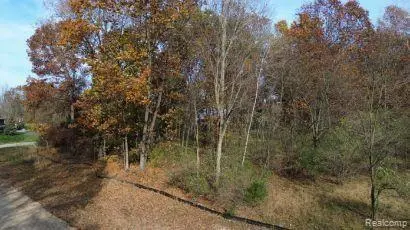 lot6 Dollar Ridge Ln Dr, Green Oak, MI 48178