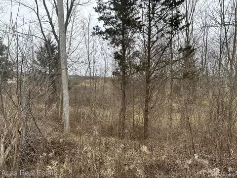 12124 Hill Rd, Atlas, MI 48438