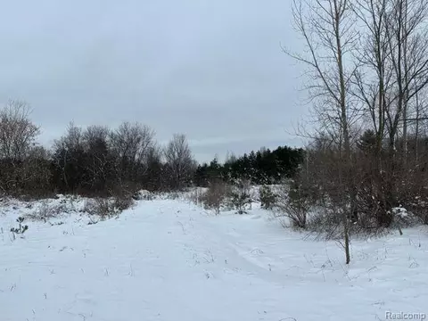 Lot B Peters Path, Lapeer, MI 48446