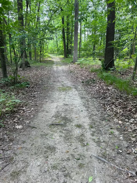 3075 Crandall Rd, Howell, MI 48855