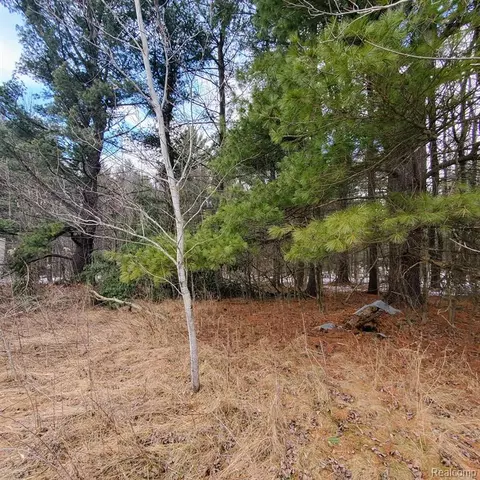 8618 Kokosing Rd, Long Lake, MI 48743