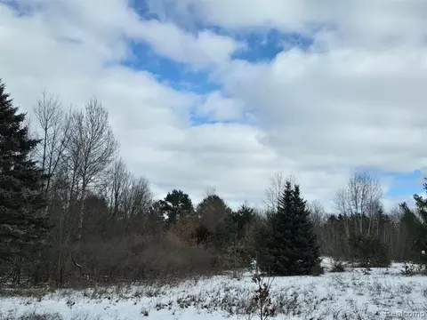 0000 Falkenbury, North Branch, MI 48461