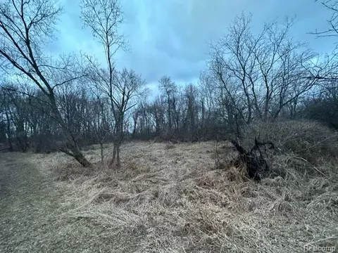 5711 Scythe Crt Ct, Iosco, MI 48137