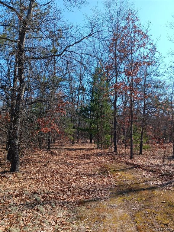 0000 Cedar Crk Rd  