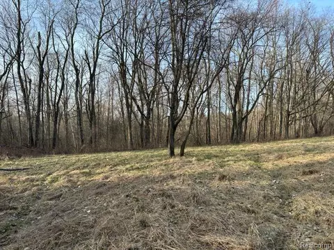 1382 Burnside Rd, Deerfield, MI 48461