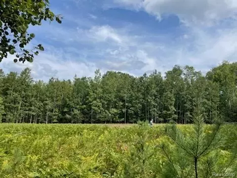 0 Phelps Rd, Moorestown, MI 49651