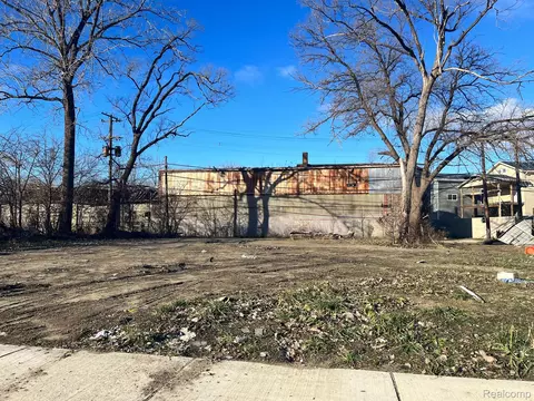 8421 Mount Elliott St, Detroit, MI 48211