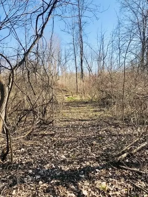 000000 Valley Dr, Hadley, MI 48455