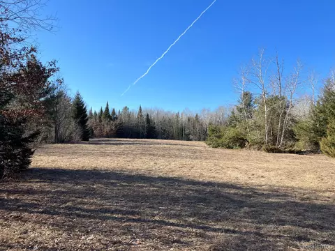 Vacant Land M-76, Horton, MI 48661