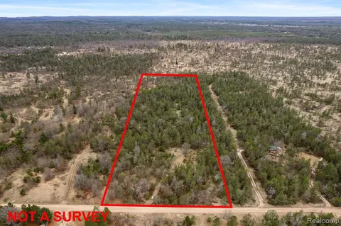 00 S Horseshoe Trl, Grayling, MI 49738