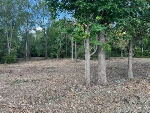 4 W 00 W Coulter Rd, Lapeer, MI 48446