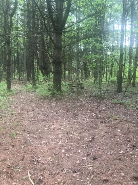 0000 S Palms Rd, Wales, MI 48027