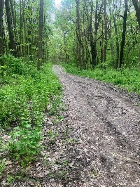 V/l Rolling Acres Drive, Hartland, MI 48353