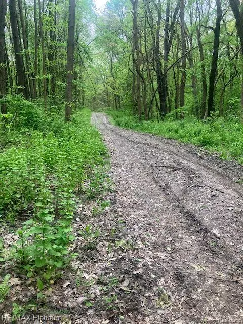 V/l Rolling Acres Drive, Hartland, MI 48353