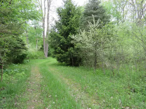 3851 Daley Rd, Arcadia, MI 48412