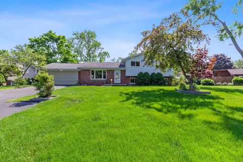 52510 Butternut Dr, Shelby Township, MI 48316
