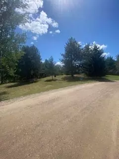 5 Red Pine Run, Marion, MI 49720