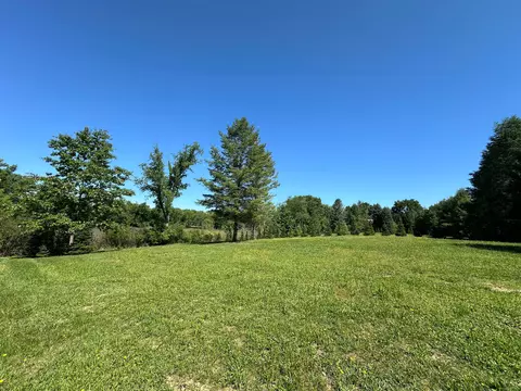 04 Prince Edward Dr, Marion, MI 48843