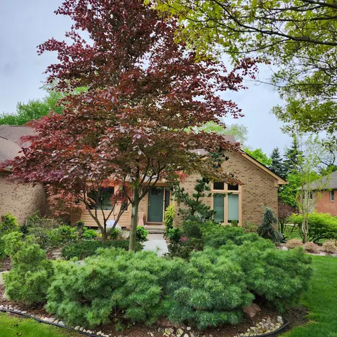 707 Kimberly Dr, Troy, MI 48098