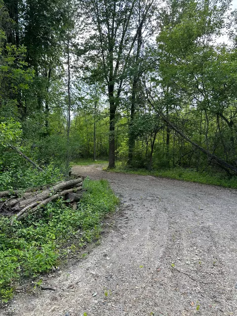 6688 White Creek Rd, Koylton, MI 48453