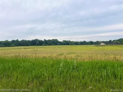 Parcel E Burt Road, Allenton, MI 48002