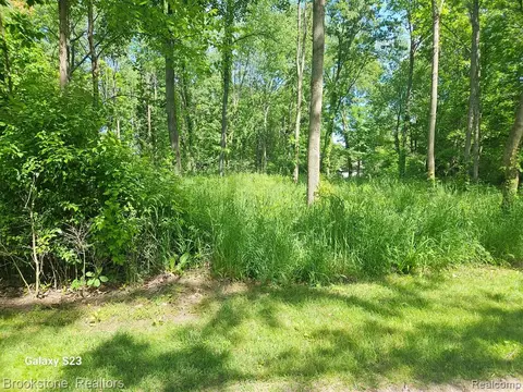 00 Hunts Fork Rd, Linden, MI 48451
