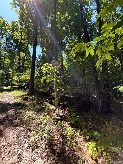Vl Smith Lake Road Track, Mancelona, MI 49659