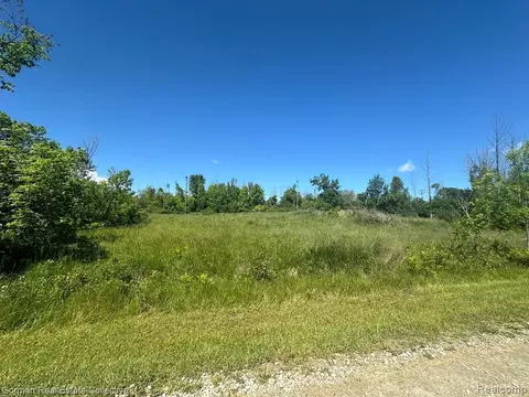 0903303700 Johnson Dr, Port Hope, MI 48468