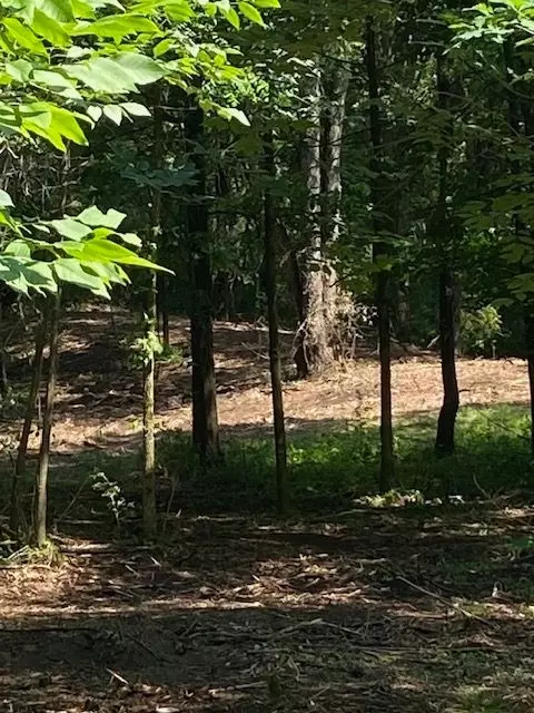 1 Sleaford-parcel 1-868 Acres, Howell, MI 48843