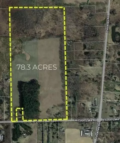 350 W Coon Lake Rd, Marion, MI 48843