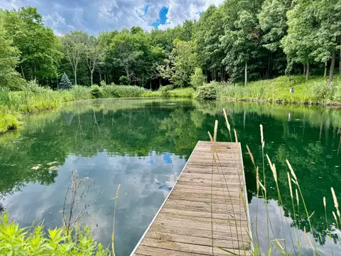 11322 E Holly Rd, Springfield, MI 48350