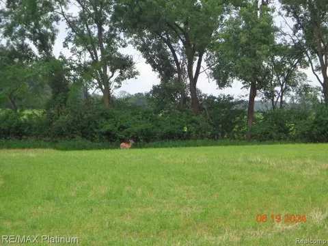 Vl Dwyer Road, Howell, MI 48855