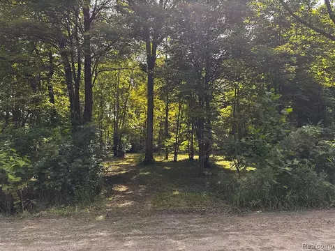 Vacant 00000 Haggerty Road, Belleville, MI 48111
