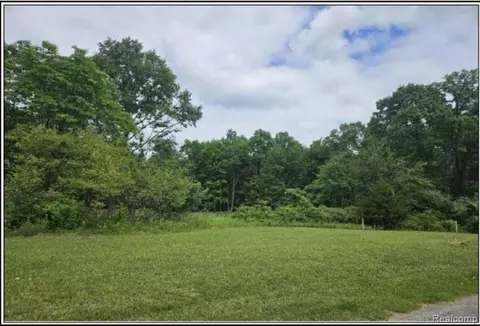 Vacant Colf Road, Carleton, MI 48117