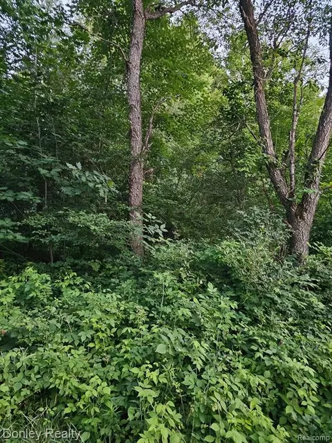 1401 Severance Rd, Decker, MI 48426