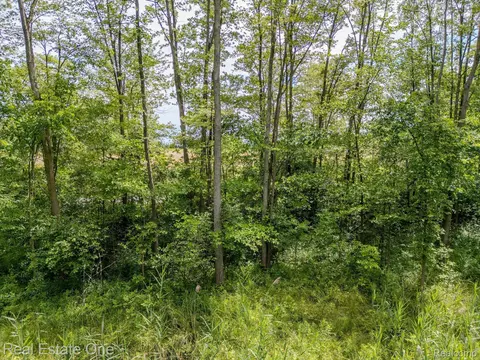 9682 Marquette Rd, Wales, MI 48027