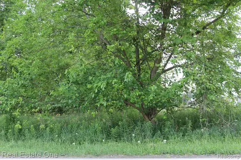 0 Norton Rd, Howell, MI 48843