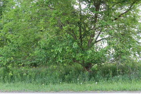 0 Norton Rd, Marion, MI 48843