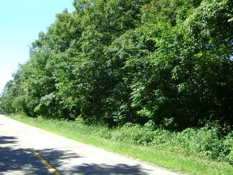 0000 W Davison Lake Rd, Metamora, MI 48371