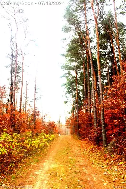 0 W Clouse Parcel 2 Rd, Glennie, MI 48737