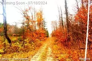 0 Six Pack Trl, Glennie, MI 48737